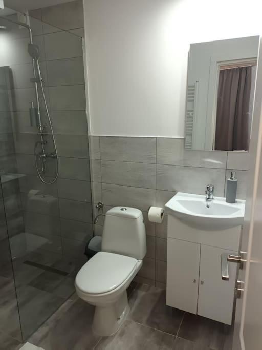 Old Town Studio 1 Apartment Nr 4 Baia Mare Exterior foto