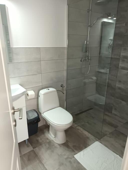 Old Town Studio 1 Apartment Nr 4 Baia Mare Exterior foto
