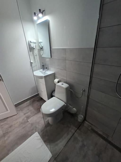 Old Town Studio 1 Apartment Nr 4 Baia Mare Exterior foto